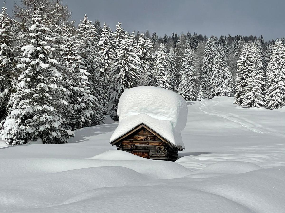 Apartmán Casa Del Roccolo Folgarida Exteriér fotografie